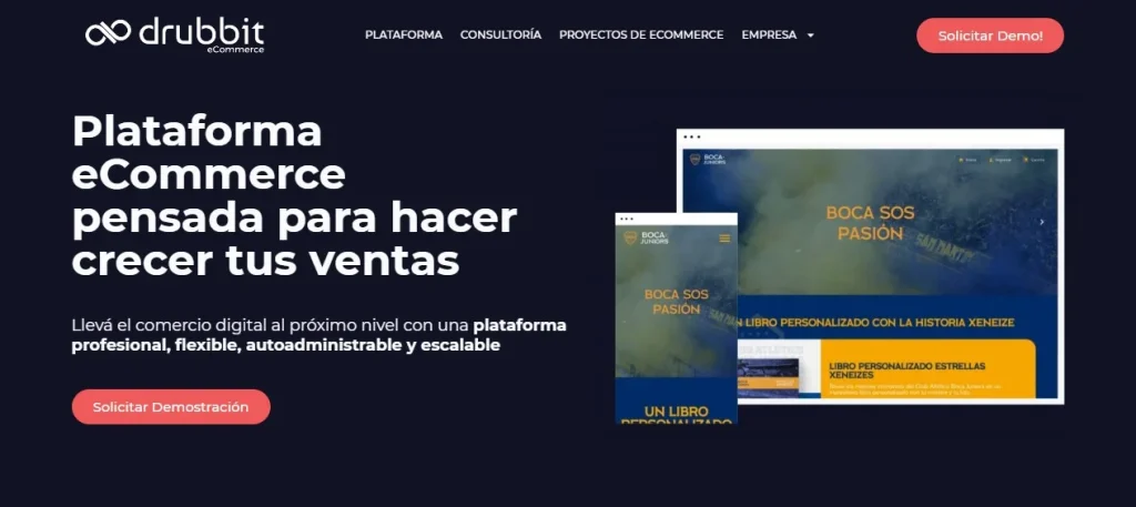 agencia desarrollo web argentina drubbit