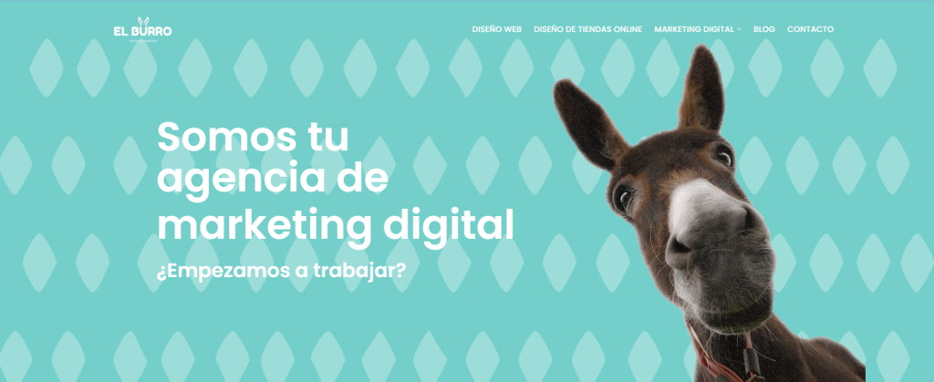el burro 10 mejores agencias de marketing digital en Sevilla