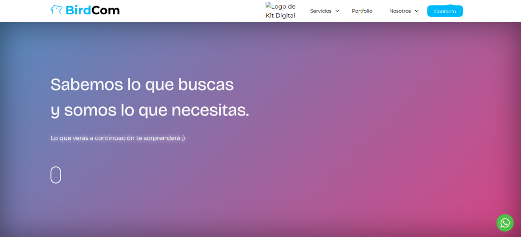 Birdcom Agencia de Marketing Digital en Zaragoza